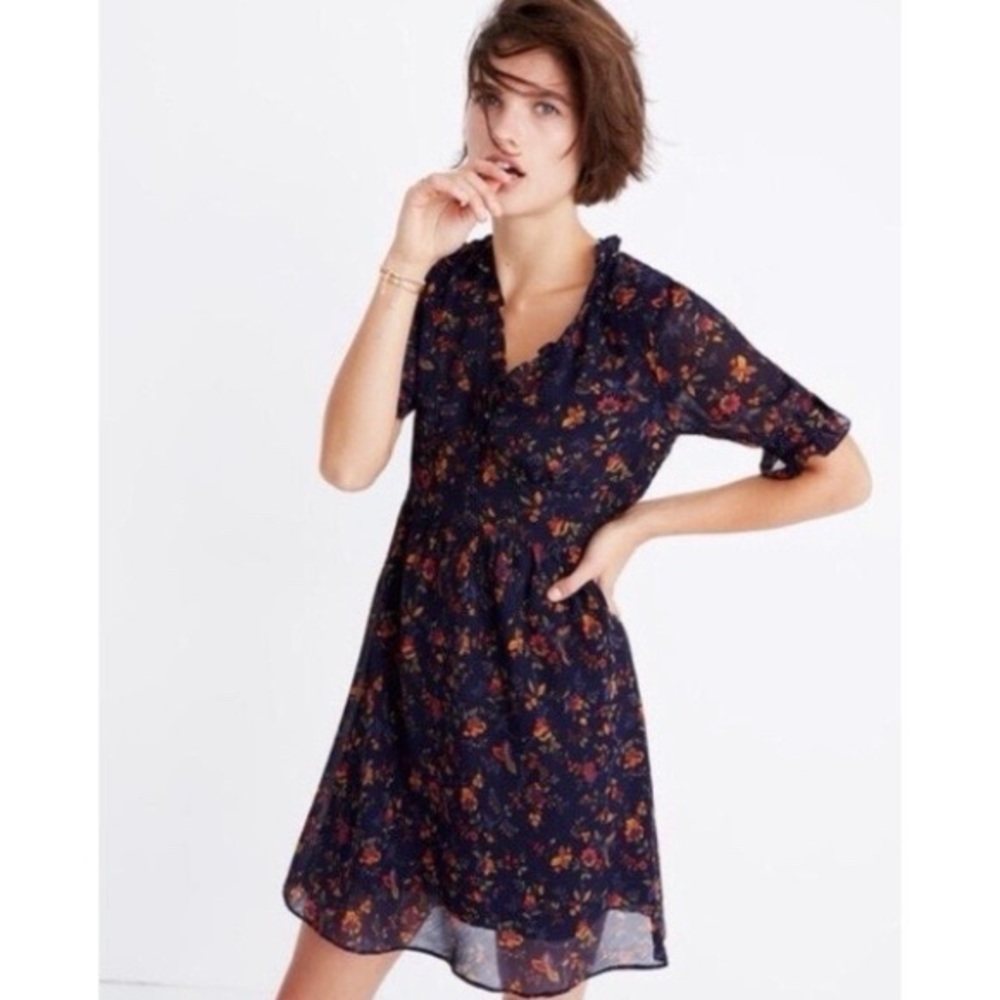 Madewell Freesia Dress in climbing vine